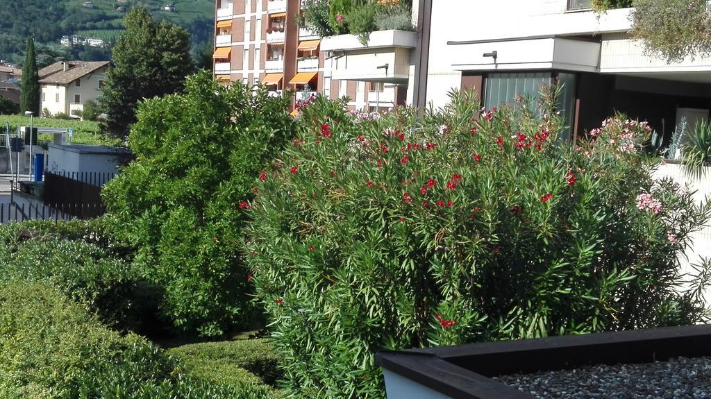 Camere Bolzano Da Glauco Zewnętrze zdjęcie
